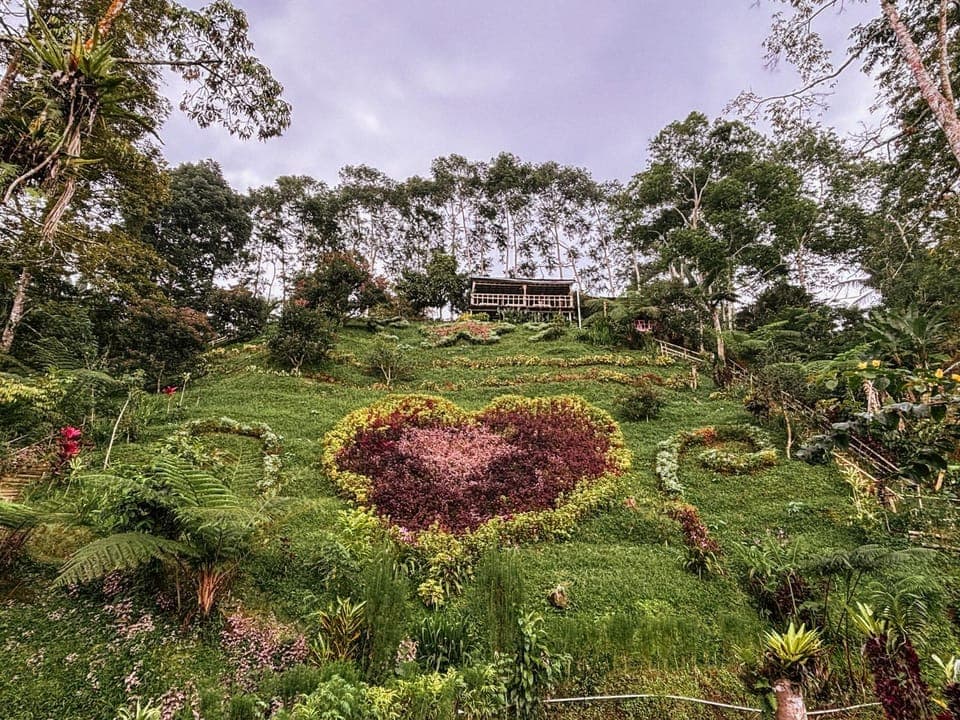 Day, Natural landscape, Garden