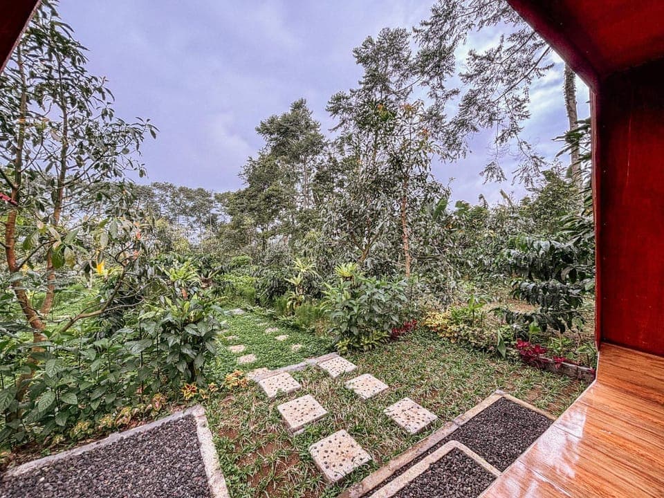 Spring, Day, Natural landscape, Garden, Garden view