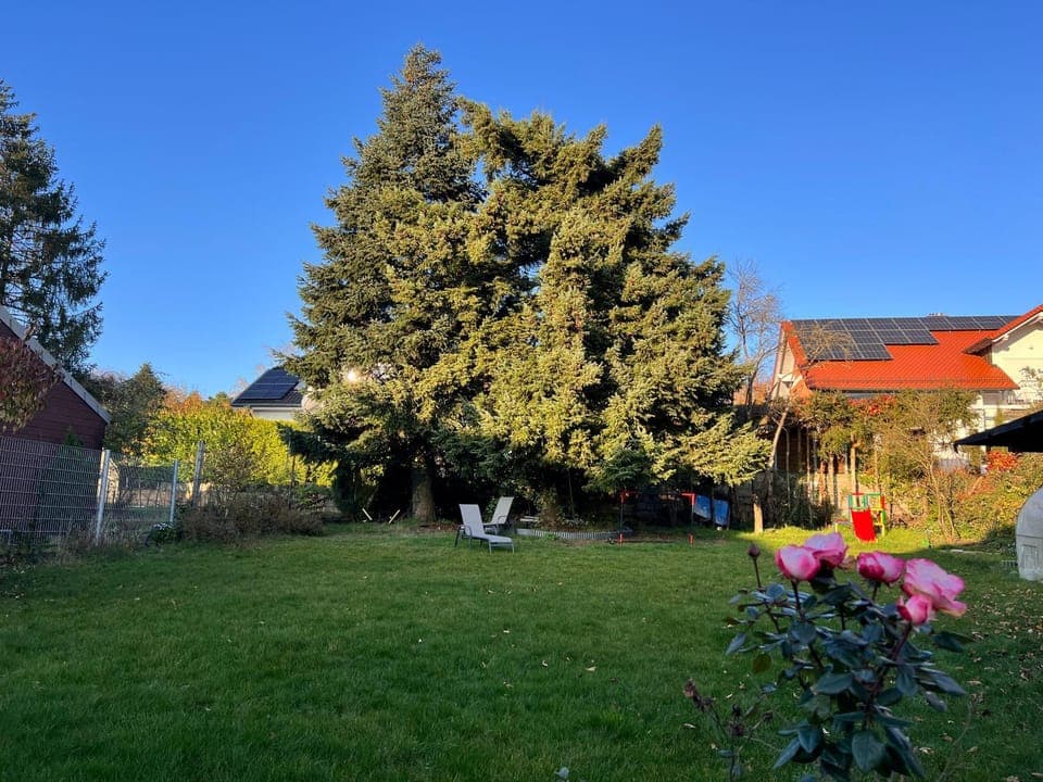 Natural landscape, Garden, Garden view