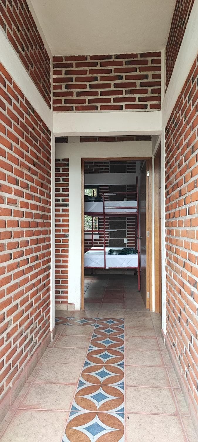 Bed, Bedroom, bunk bed