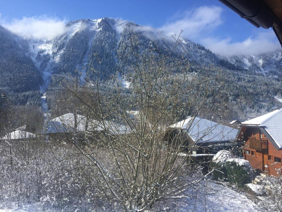 Day, Winter, Mountain view