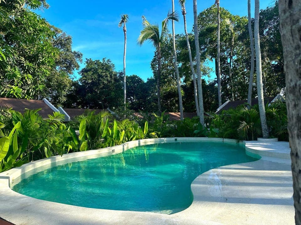 Pool view, Pool view, Swimming pool
