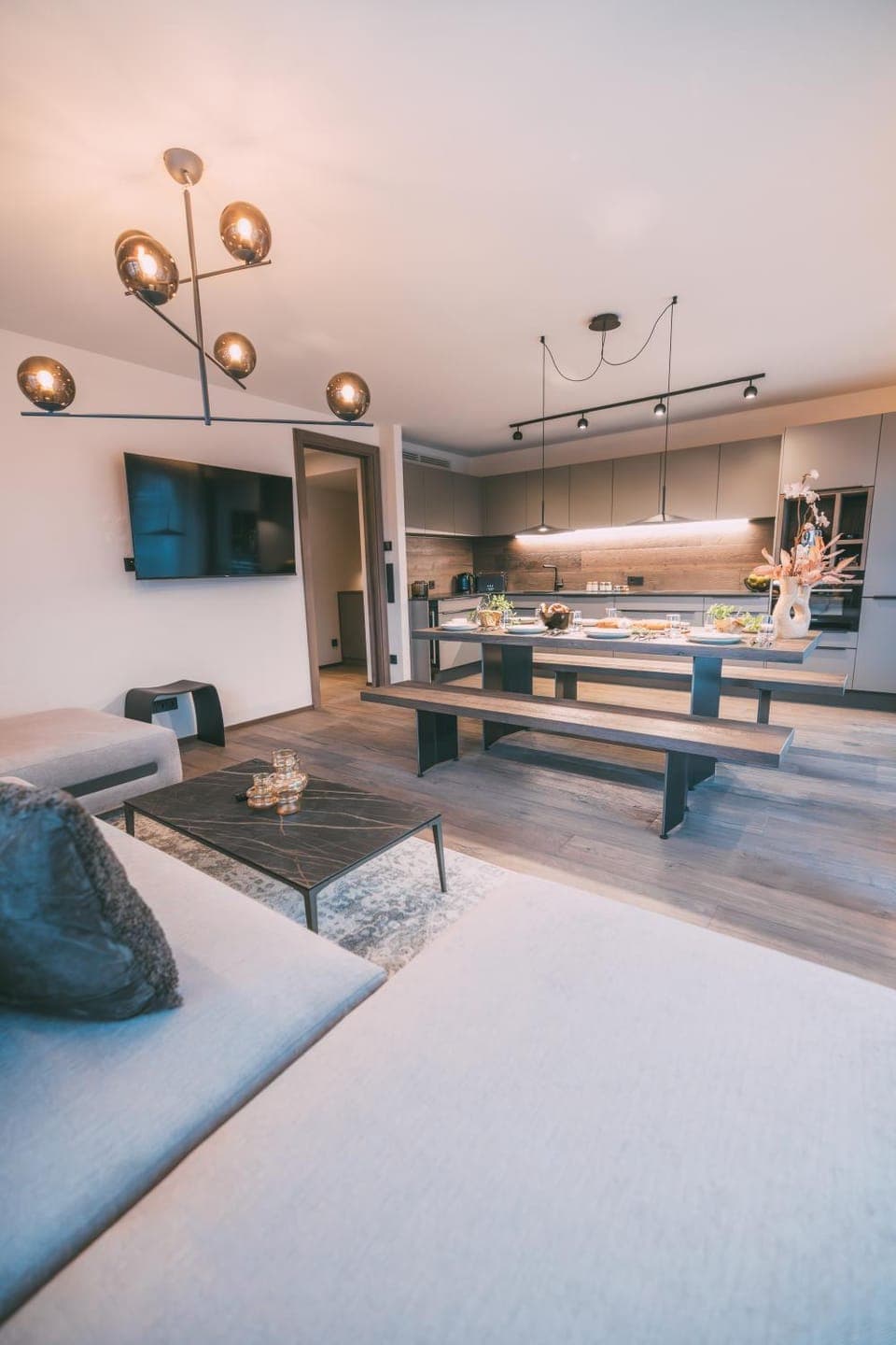 TV and multimedia, Kitchen or kitchenette, Living room, Photo of the whole room, Seating area, Dining area