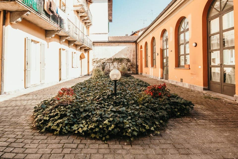 Property building, Day, Garden