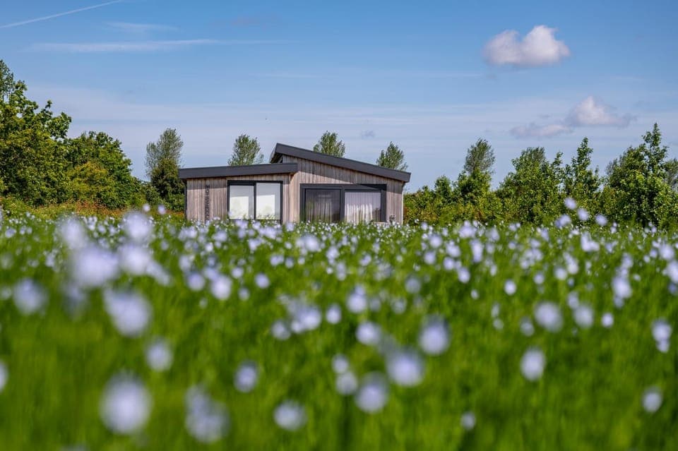 Spring, Day, Natural landscape, Garden
