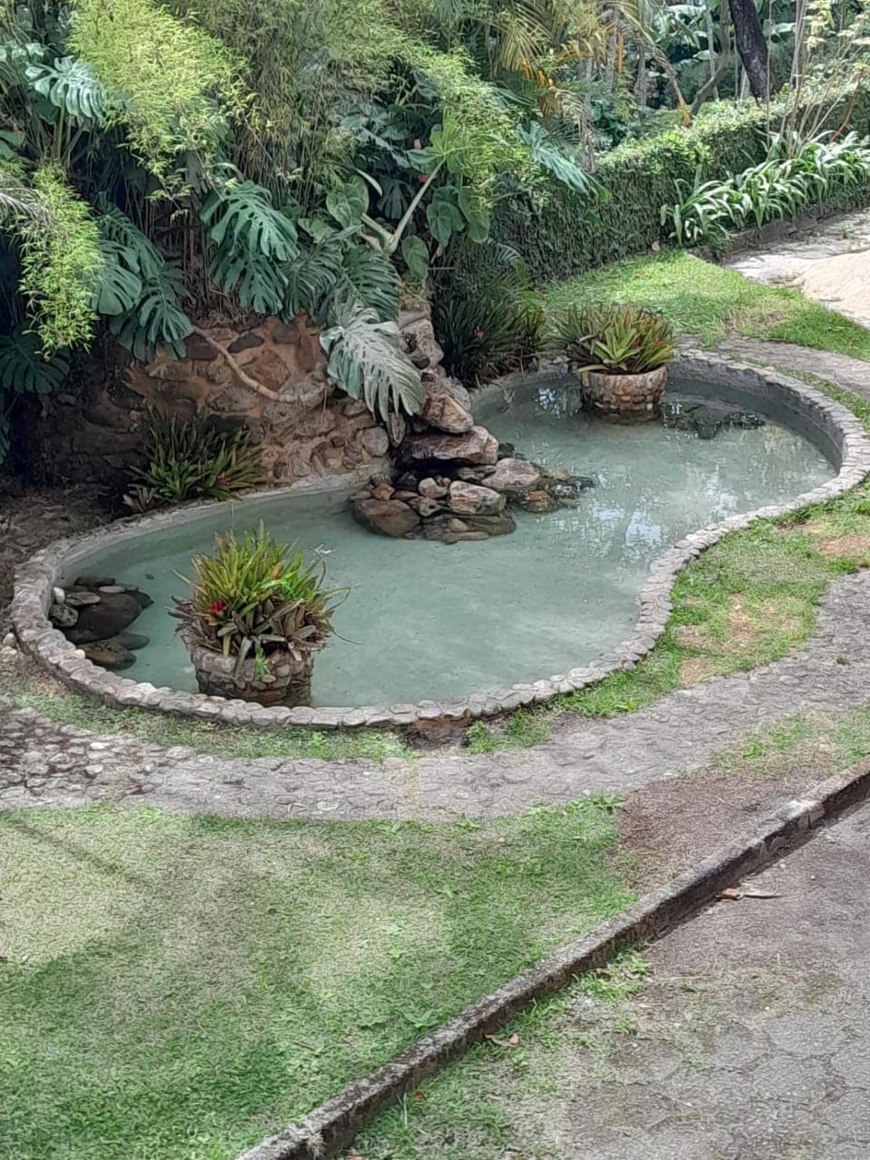 Natural landscape, Garden, Garden view