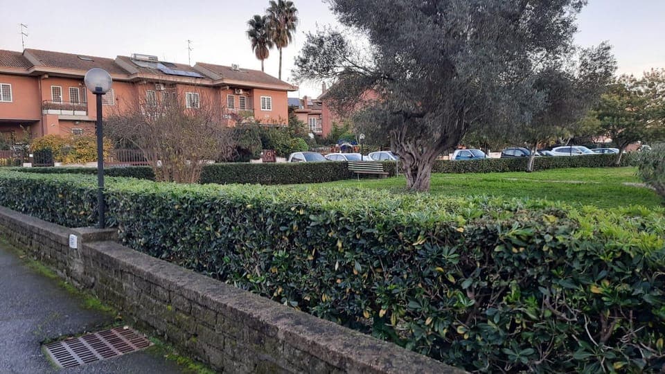 Property building, Natural landscape, Garden, Street view, Parking