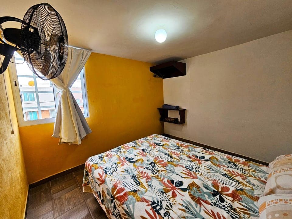 Bed, Photo of the whole room