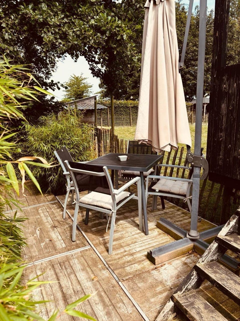 Patio, Spring, Garden, Garden view