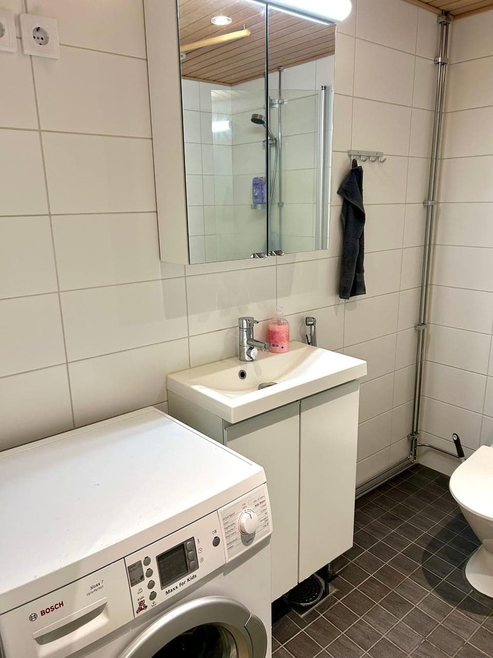 Toilet, washing machine