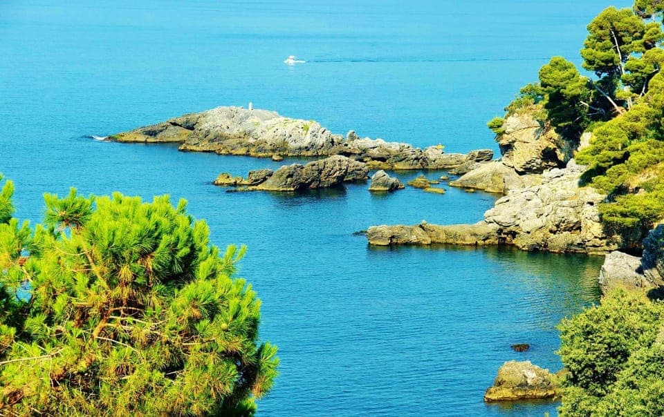 Beach, Area and facilities