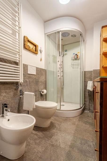 Shower, Toilet, Bathroom, bidet, towels