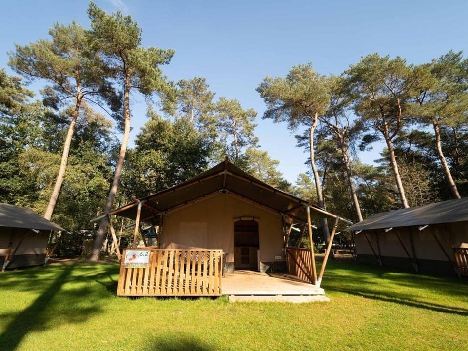 Property building, Summer