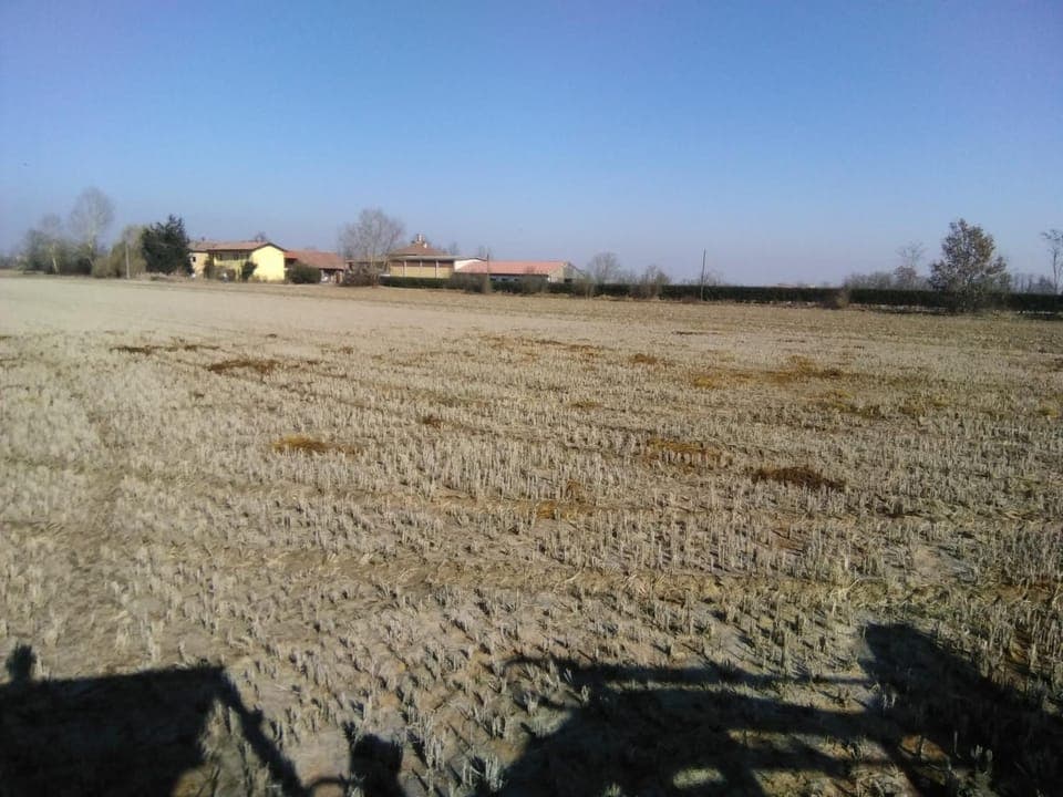 Property building, Day, Natural landscape