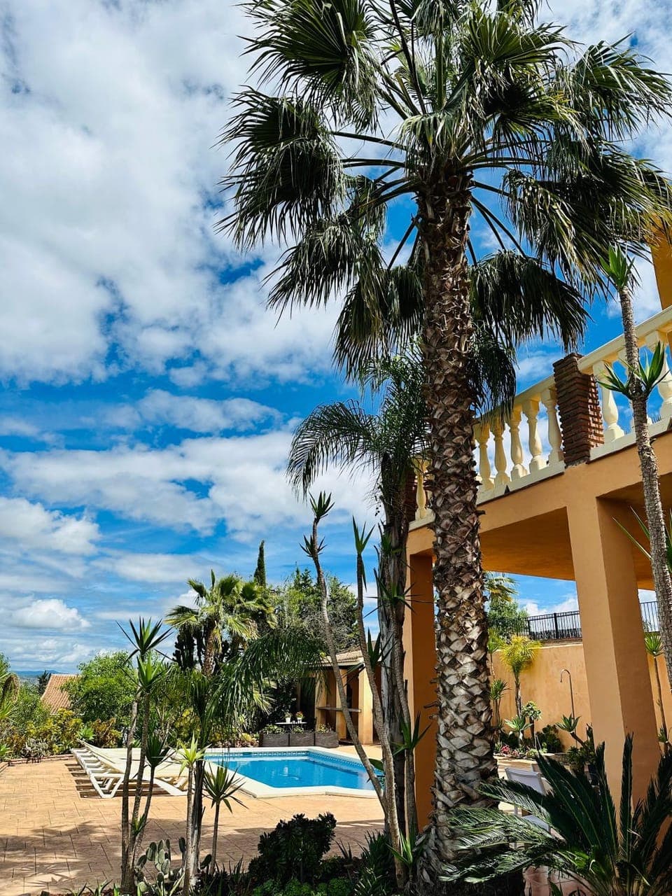 Garden, Swimming pool