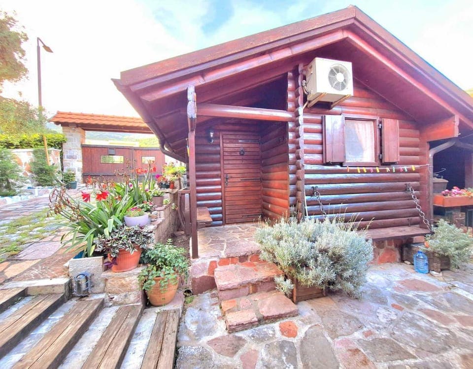 Property building, Day, Garden