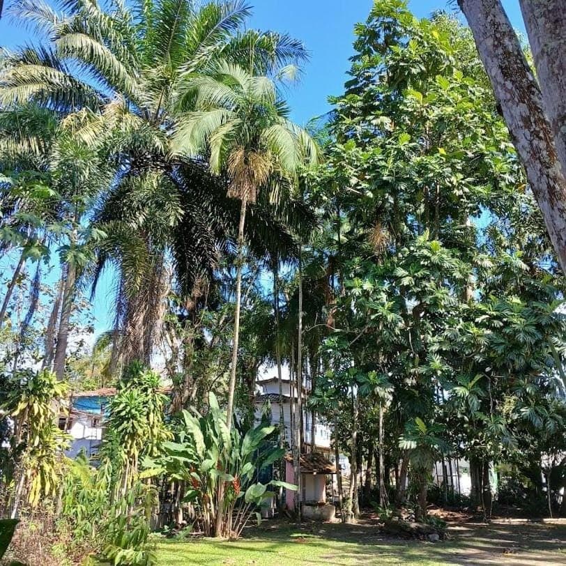 Studio8 Centro Paraty Apartment in Paraty
