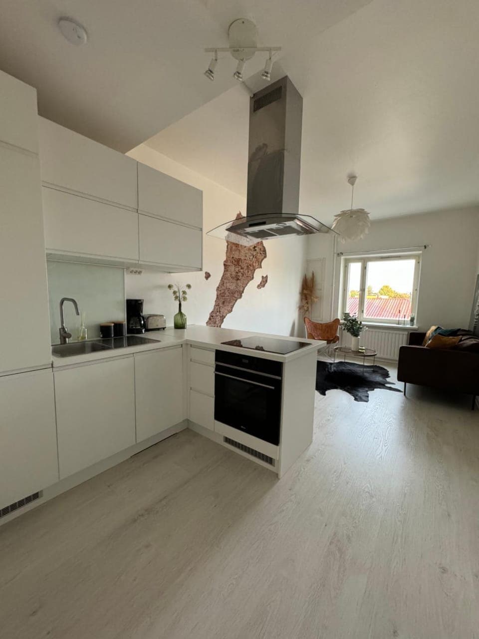 Kitchen or kitchenette, dishwasher, oven, pet friendly