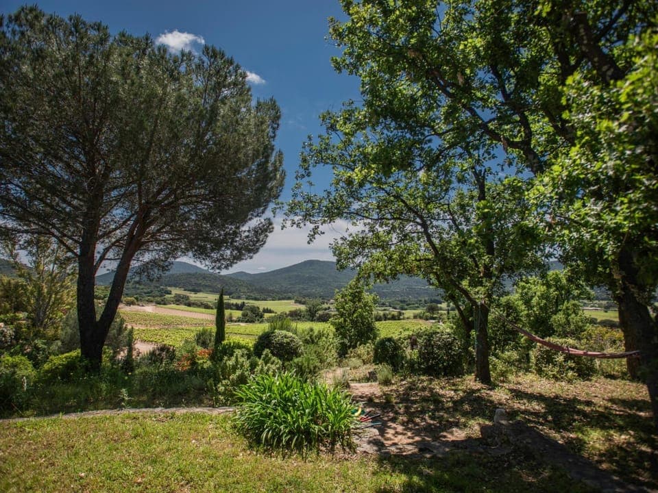 Summer, View (from property/room)