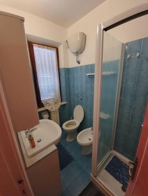 Shower, Toilet, Bathroom, bidet, towels