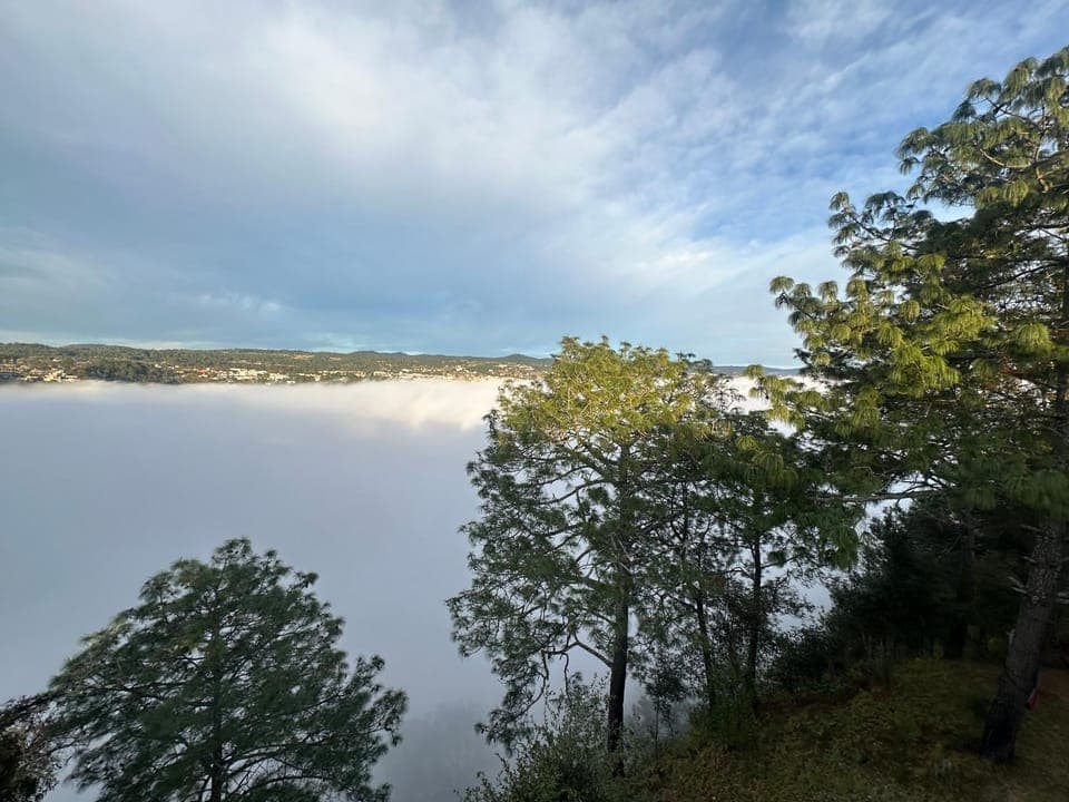 View (from property/room), City view