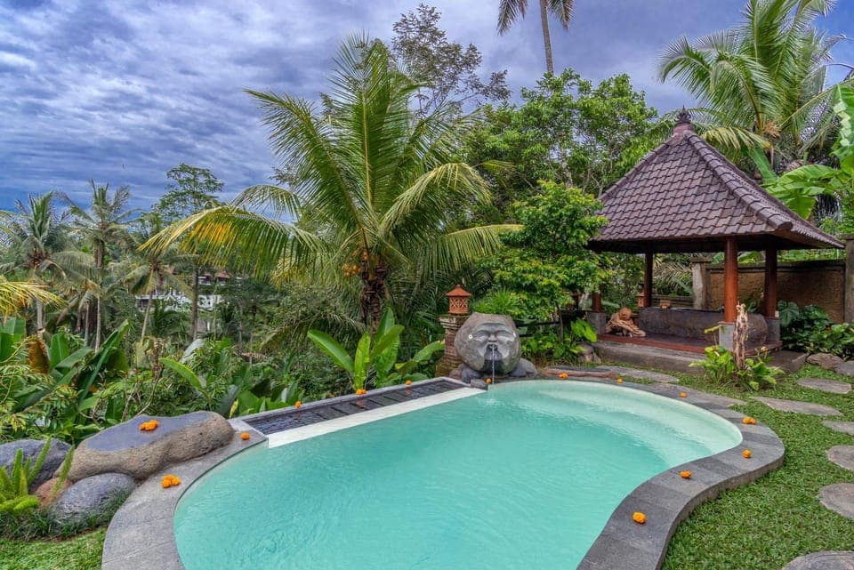 Natural landscape, Garden, Garden view, Pool view, Swimming pool, Swimming pool, sunbed