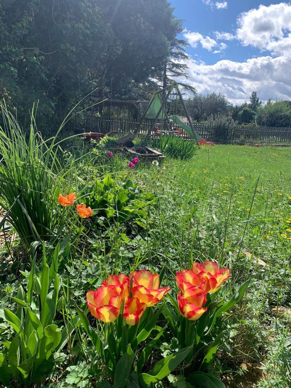 Spring, Natural landscape, Garden, Garden view