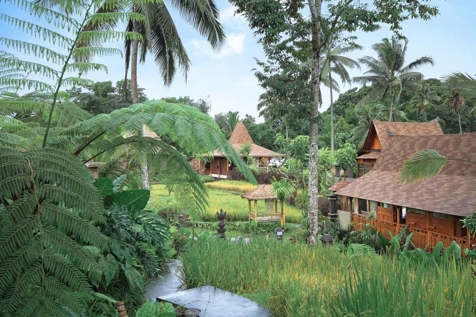 Property building, Natural landscape, Garden, View (from property/room)