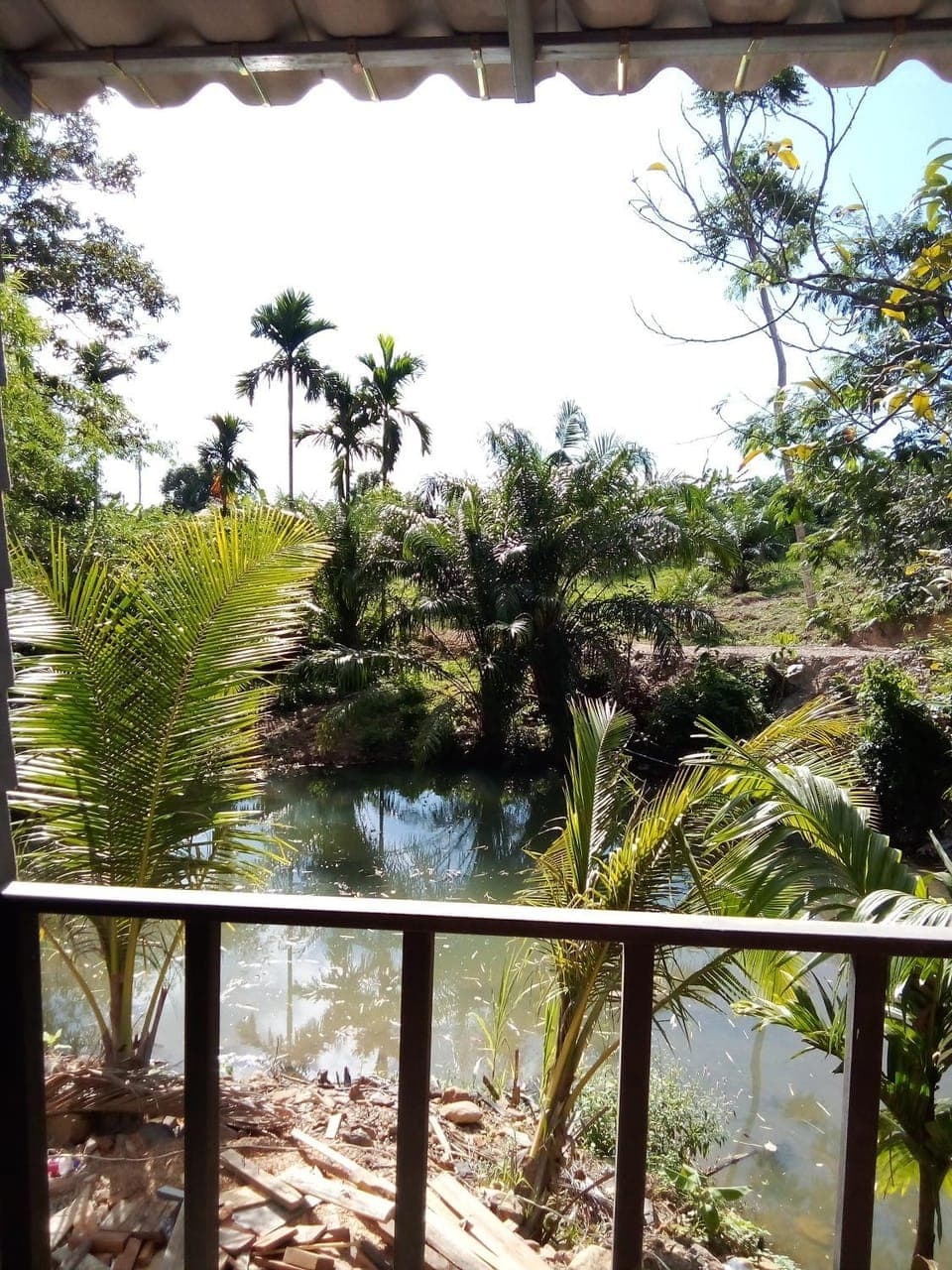 Day, Natural landscape, View (from property/room), On site, Garden view, River view