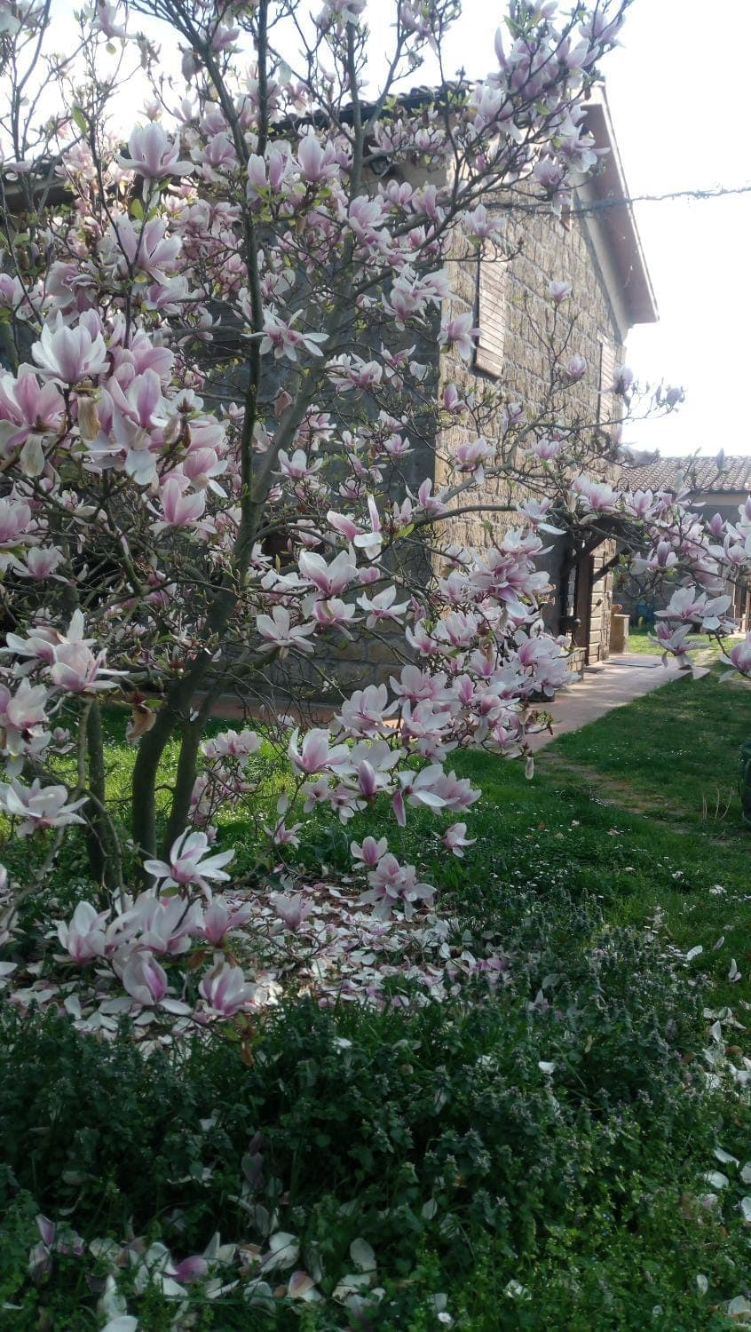 Property building, Facade/entrance, Spring