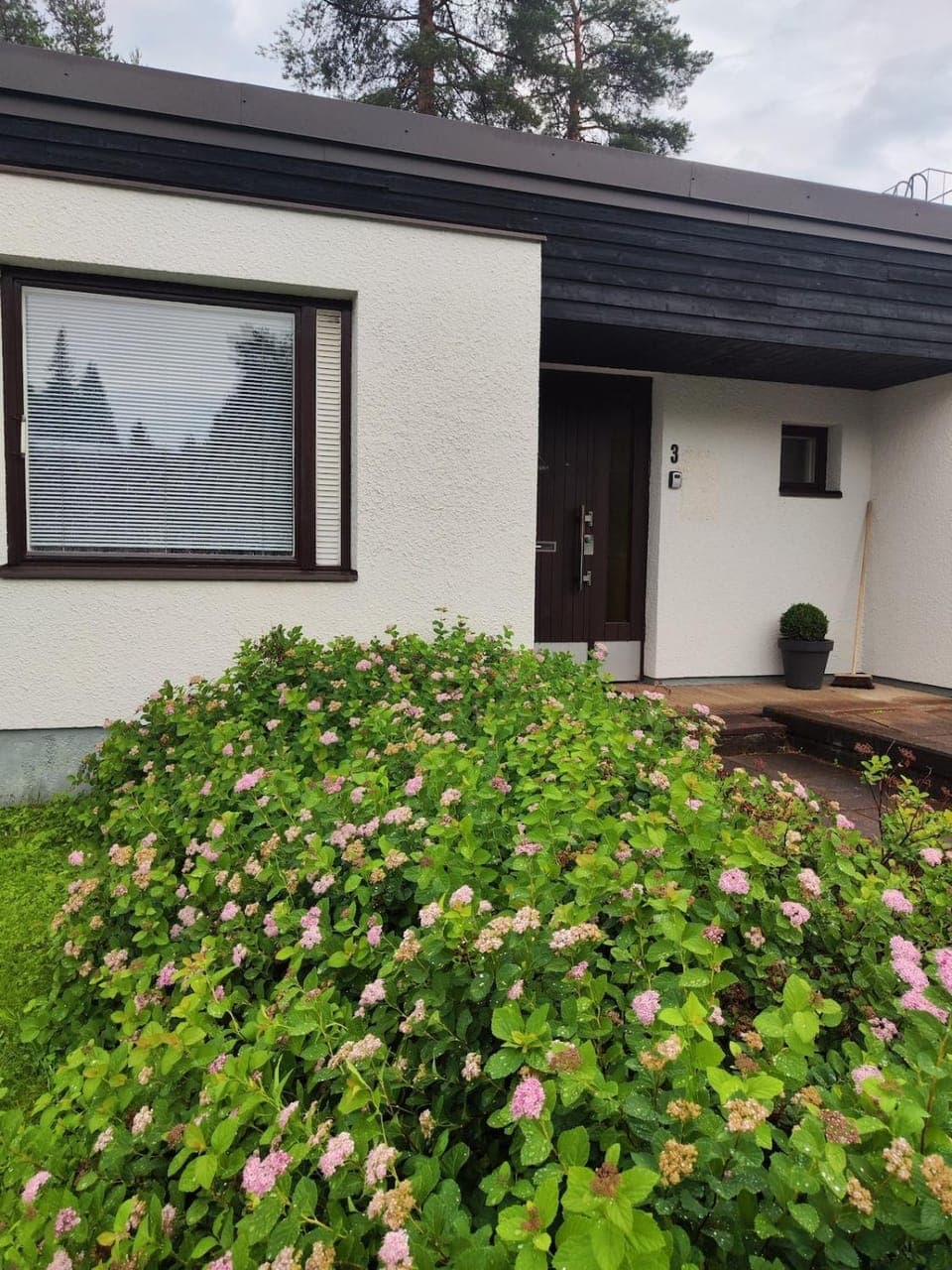 Property building, Garden view
