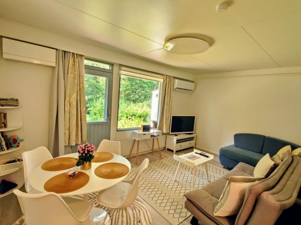 TV and multimedia, Living room, Seating area, air conditioner