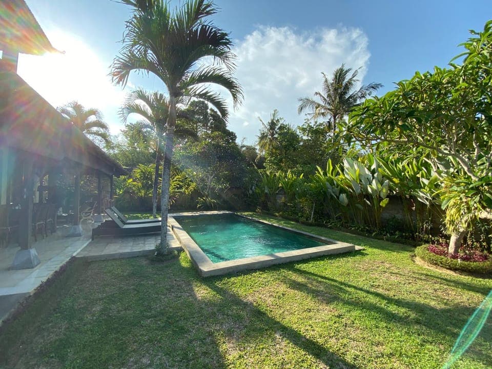 Garden, Swimming pool, Swimming pool