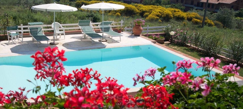 Swimming pool, Swimming pool