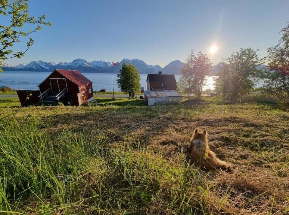 Natural landscape, Garden, Mountain view, Area and facilities