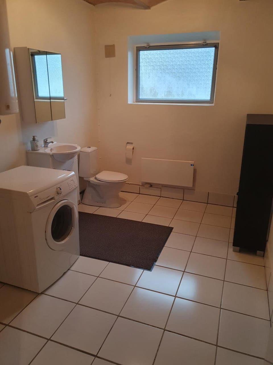 Toilet, Bathroom, hair dryier, washing machine