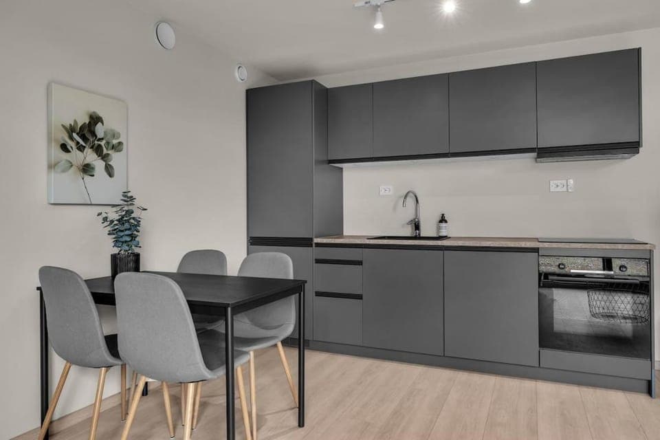 Kitchen or kitchenette, Dining area, dishwasher, stove