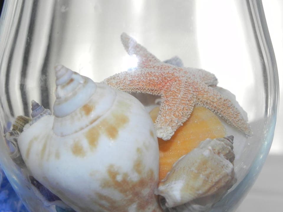 Decorative detail, Logo/Certificate/Sign