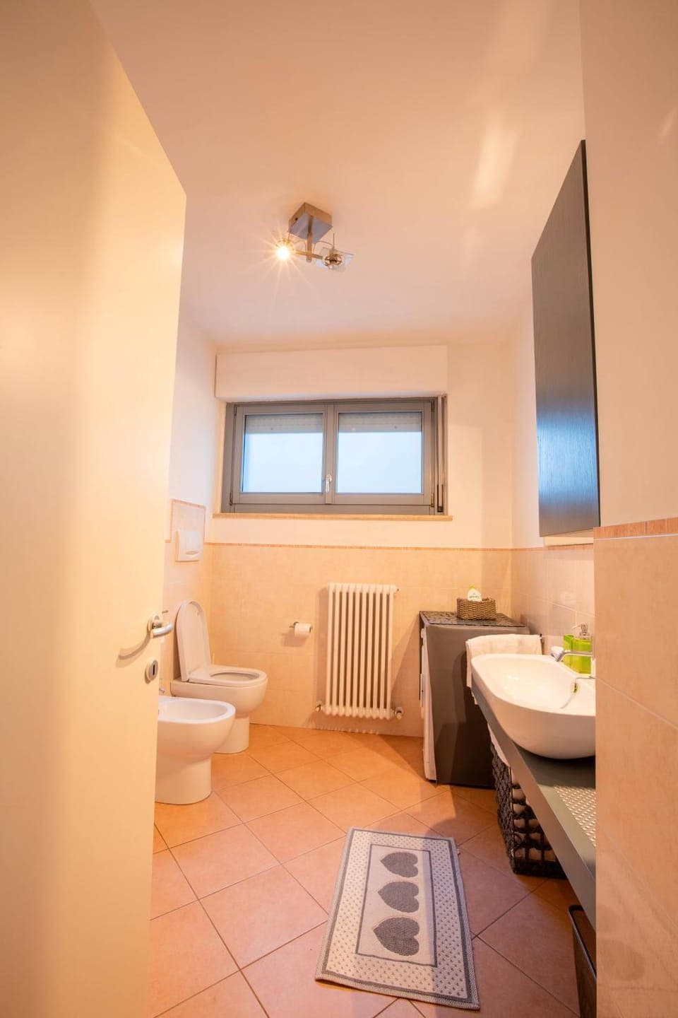 Bathroom, Living room