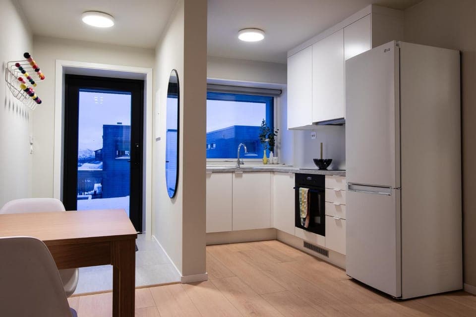 Kitchen or kitchenette, dishwasher, oven, stove