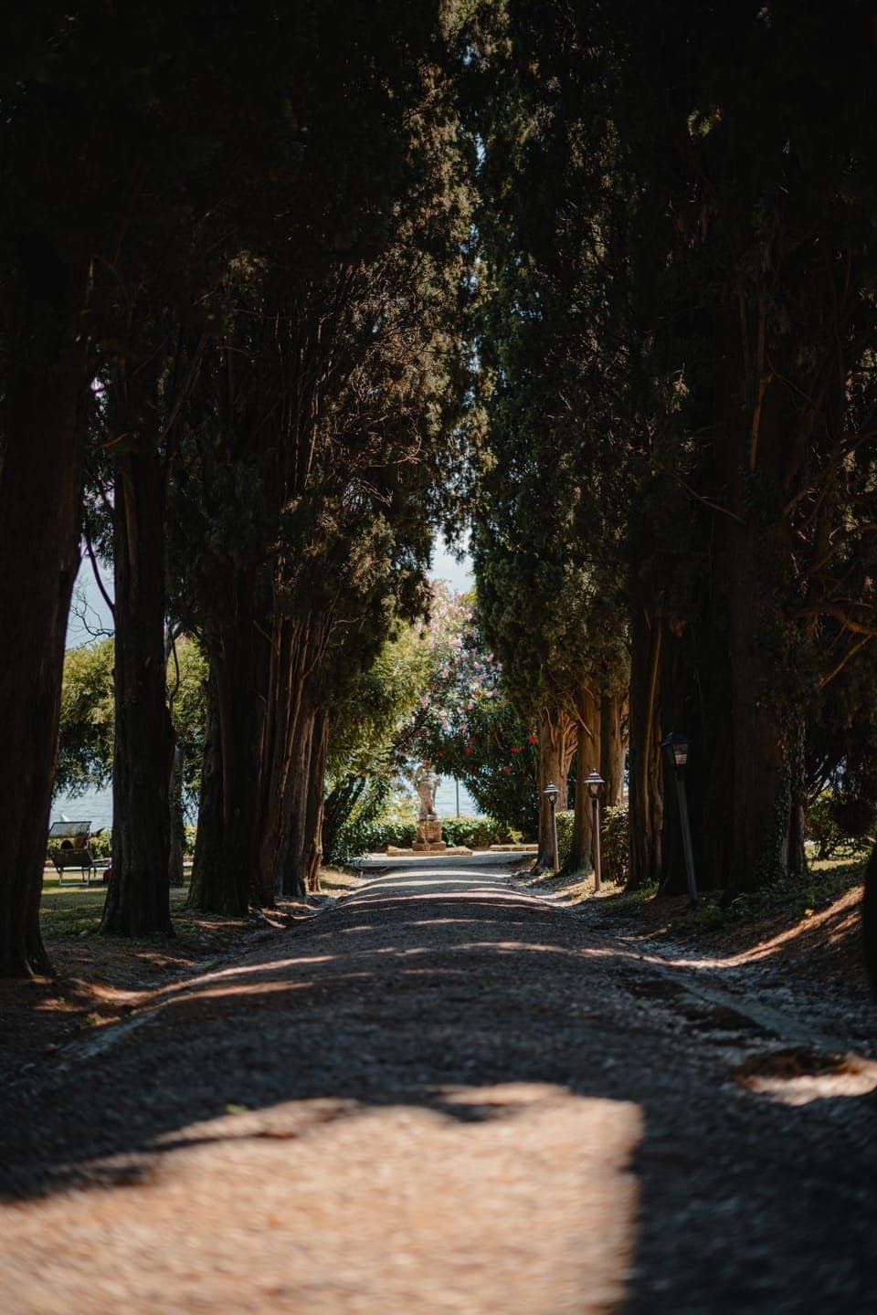 Natural landscape, Garden