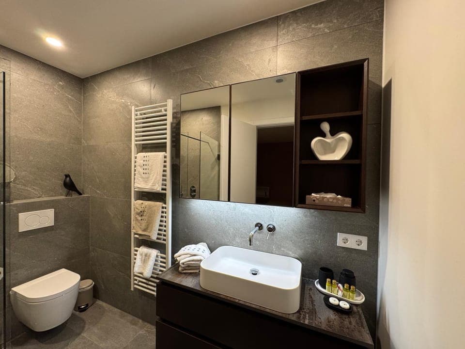 Shower, Toilet, Bathroom, towels