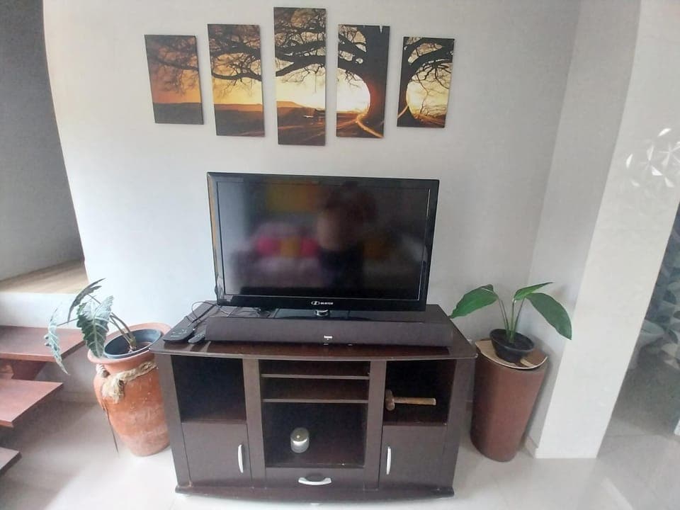 TV and multimedia