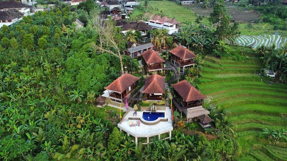 Property building, Spring, Day, Natural landscape, Bird's eye view, Pool view, Swimming pool