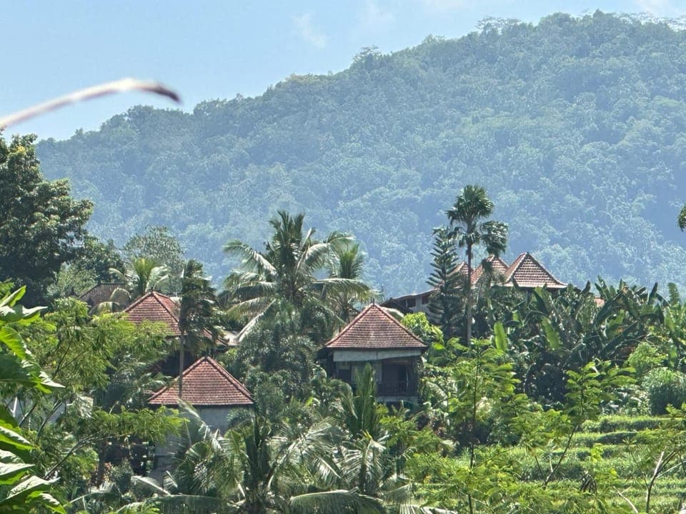 Spring, Day, Natural landscape, Garden, Garden view, Mountain view