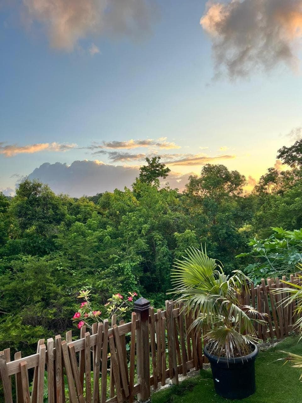 Garden view