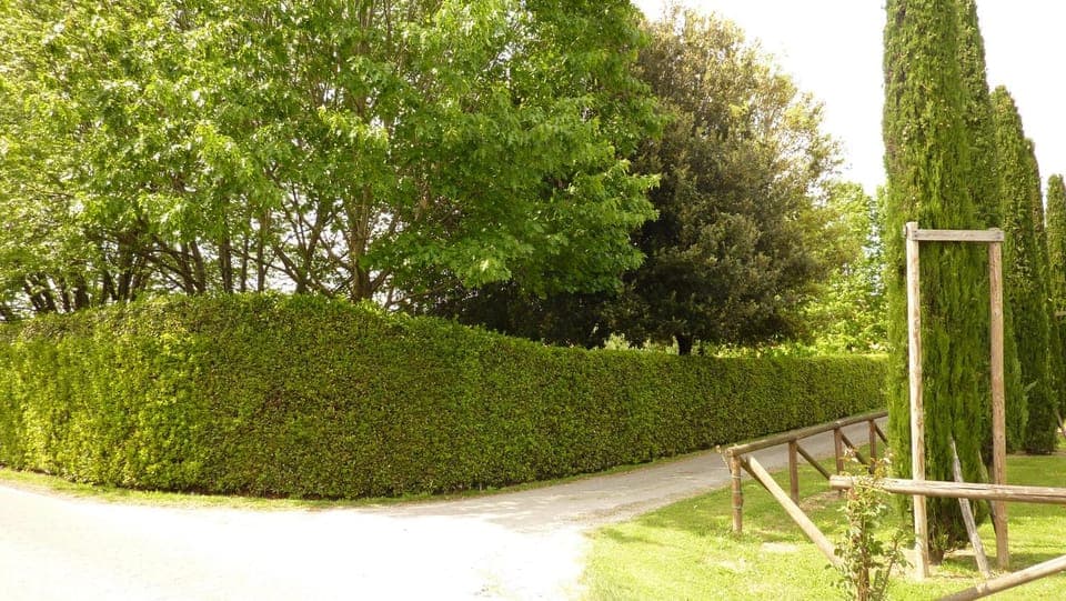 Quiet street view