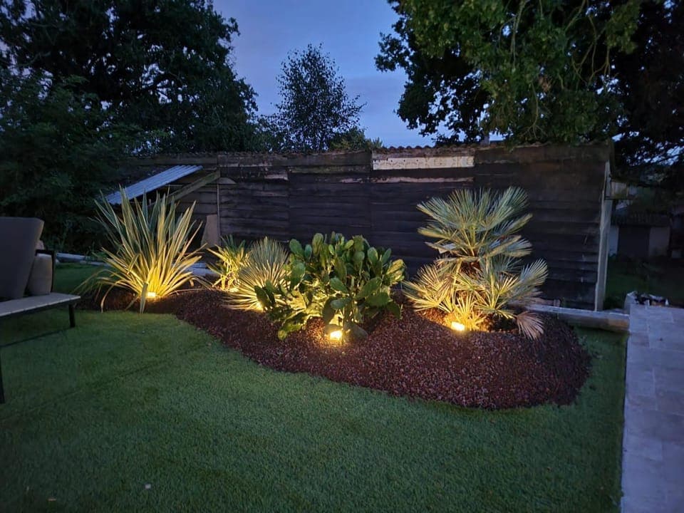 Night, Garden, Garden