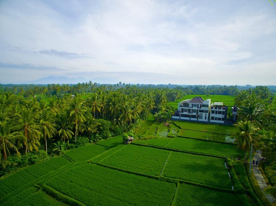 Property building, Day, Natural landscape, Bird's eye view