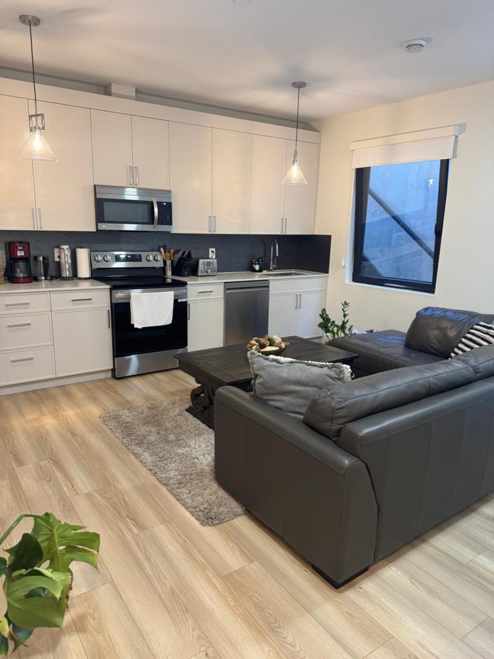 Kitchen or kitchenette, Living room